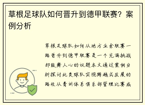 草根足球队如何晋升到德甲联赛？案例分析
